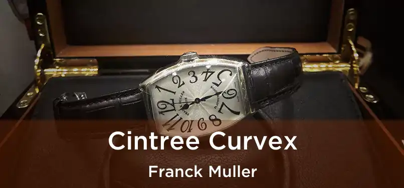  Cintree Curvex Franck Muller