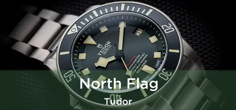  North Flag Tudor
